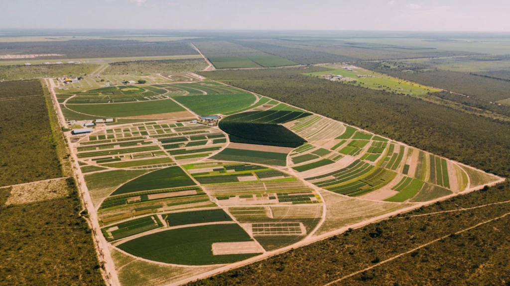 Fundação Bahia