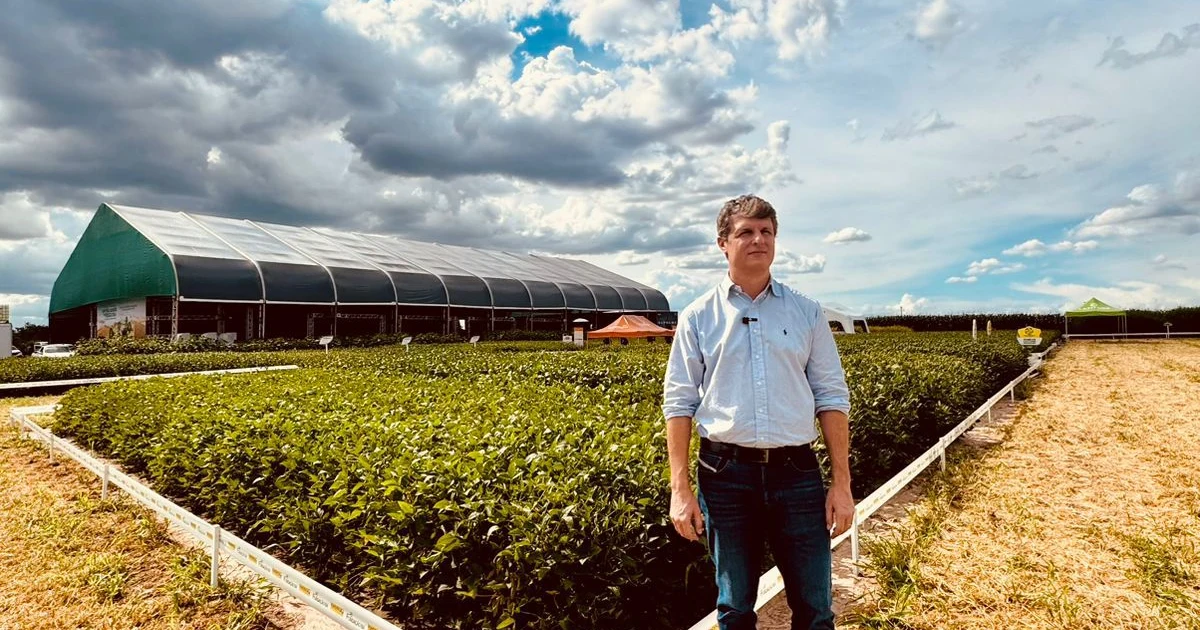 Presidente da Fundação Bahia, Jarbas Bergamaschi
